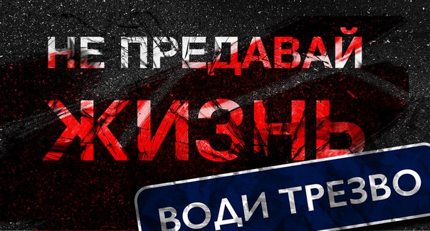 Папа Не Пей За Рулем Картинки